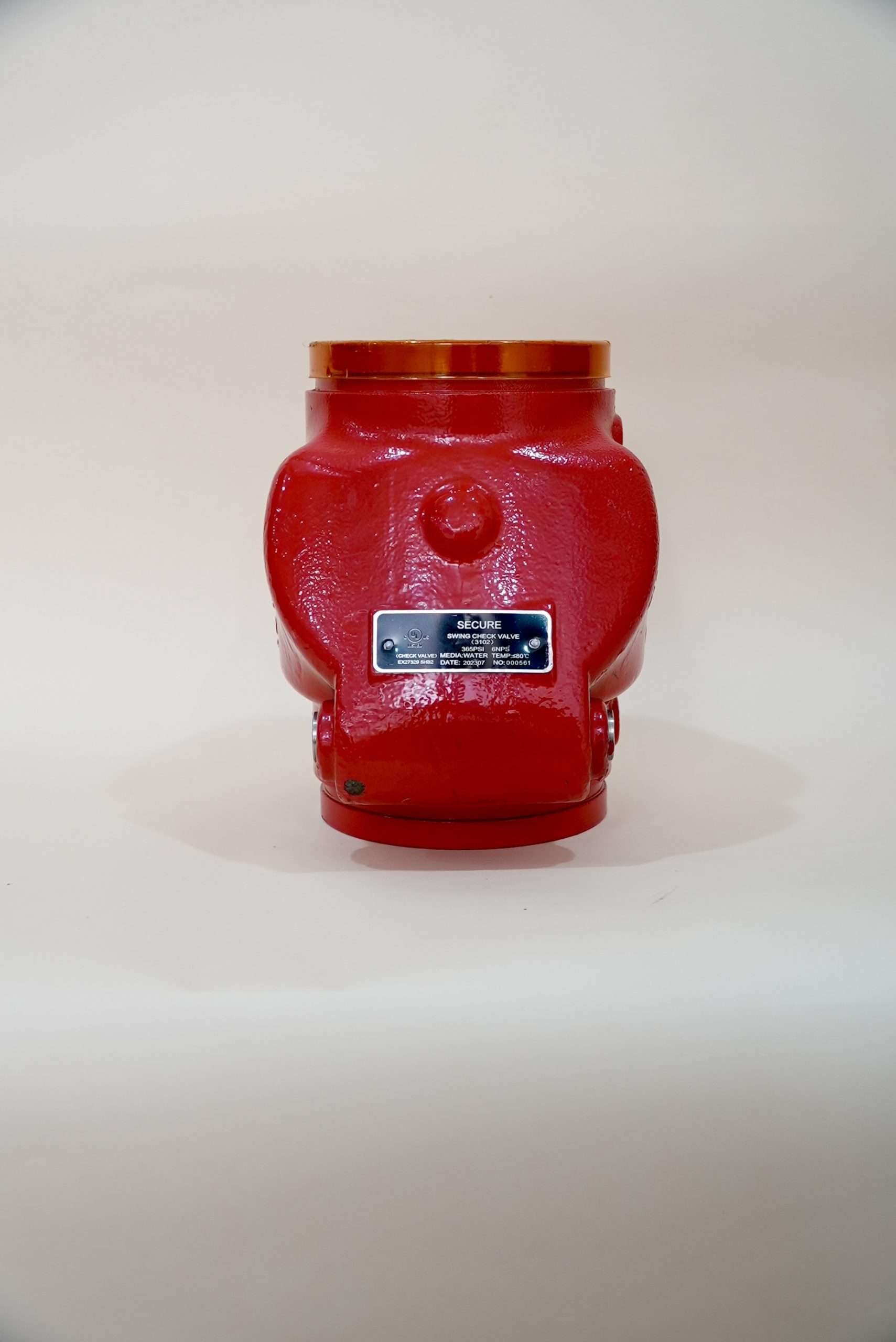 SECURE-NRV-4IN SWING CHECK VALVE-3102-AED310